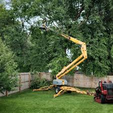 Best Mulching Services  in Penhook, VA