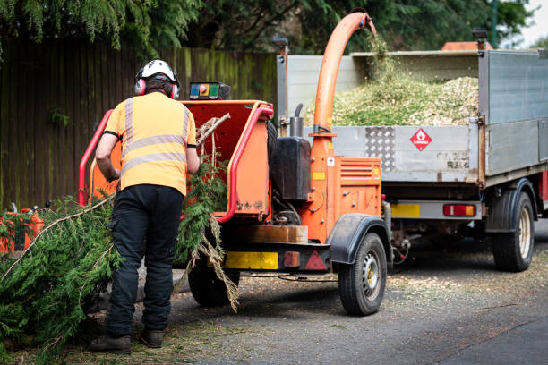 Best Hazardous Tree Removal  in Penhook, VA